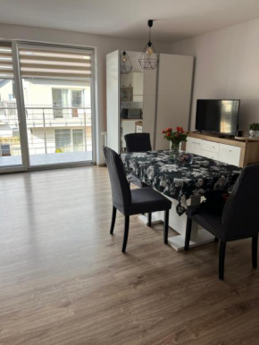 Studio Green, Świebodzice